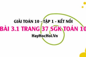Giải bài 3.1 trang 37 Toán 10 Tập 1 SGK Kết nối tri thức